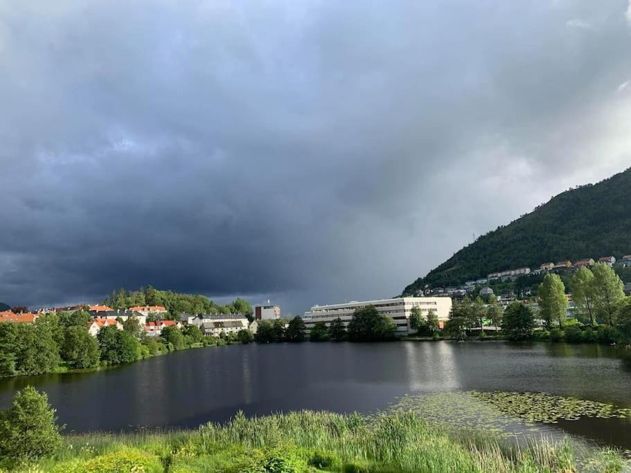 Bergen'S Finest: Sleek Oasis With Two Bedroom Kültér fotó